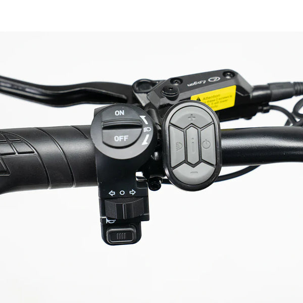 OUXI V8 3.0 Fatbike - Zwart - Hydraulische Remmen
